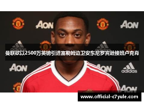 曼联欲以2500万英镑引进富勒姆边卫安东尼罗宾逊接班卢克肖