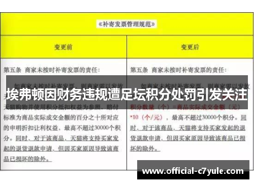 埃弗顿因财务违规遭足坛积分处罚引发关注 埃弗顿因财务违规遭足坛积分处罚引发关注