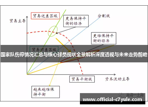 国家队伤停情况汇总与核心球员现状全景解析深度透视与未来走势前瞻
